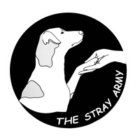 The Stray Army